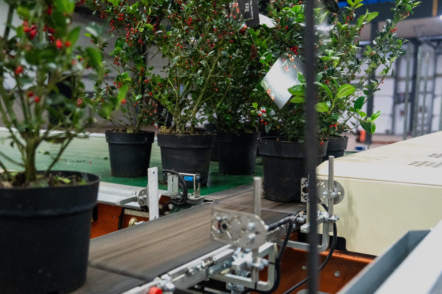 Bufferbanden - thumbnail 7