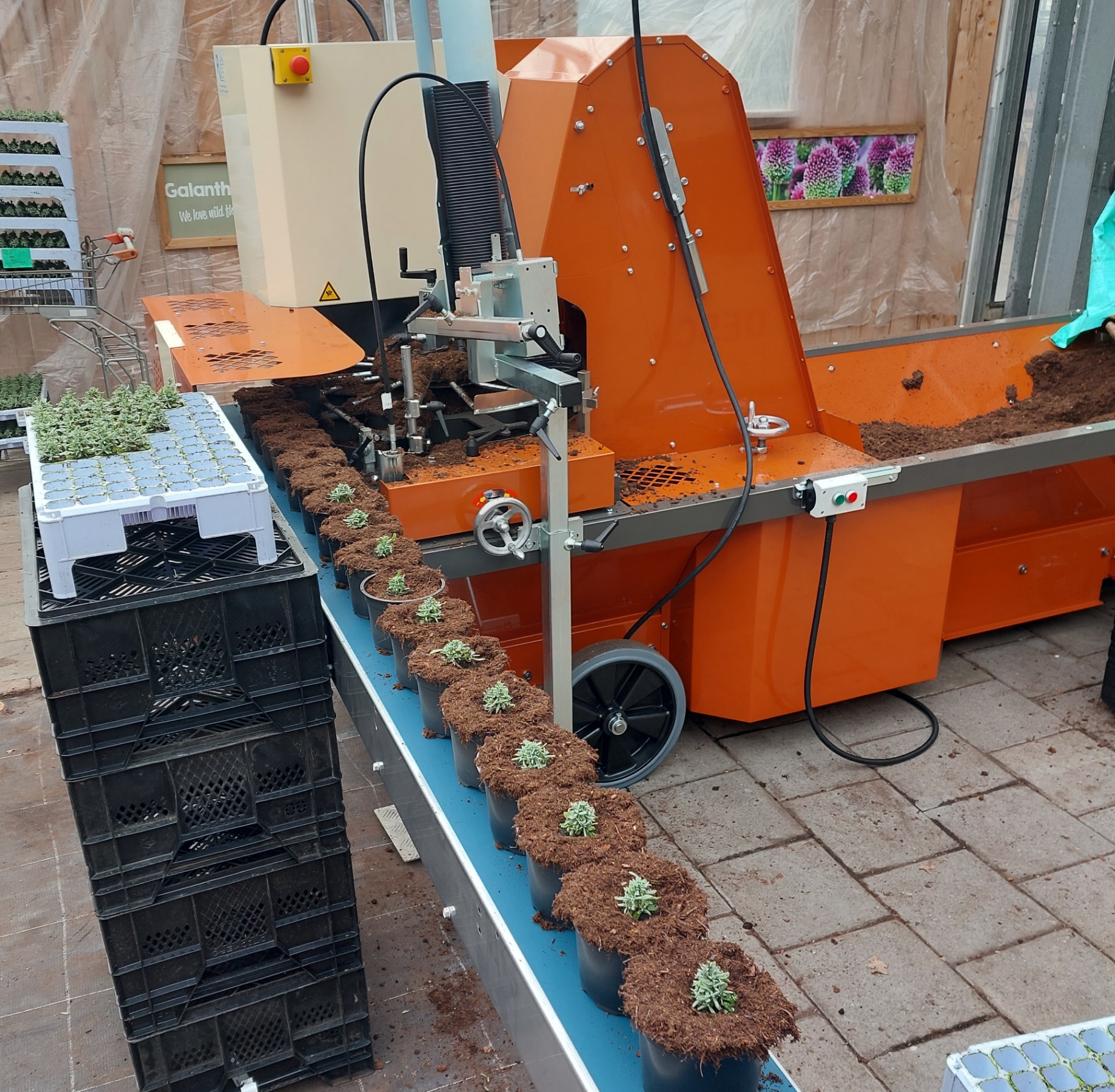 Potmachines - thumbnail 6