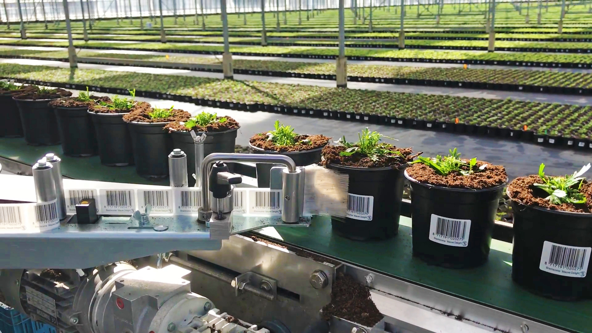 Stickermachines - foto 1