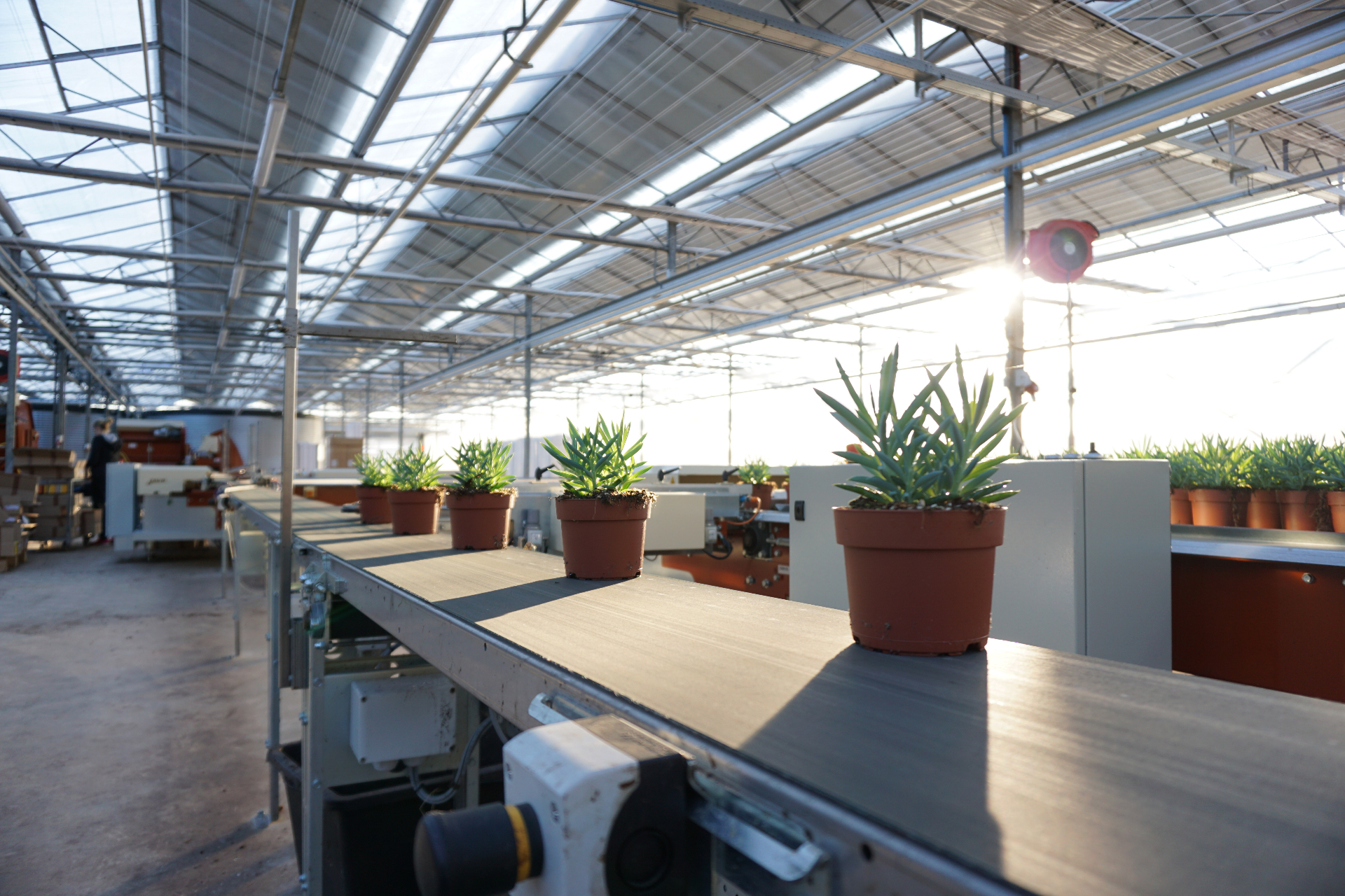 Transportbanden - thumbnail 5