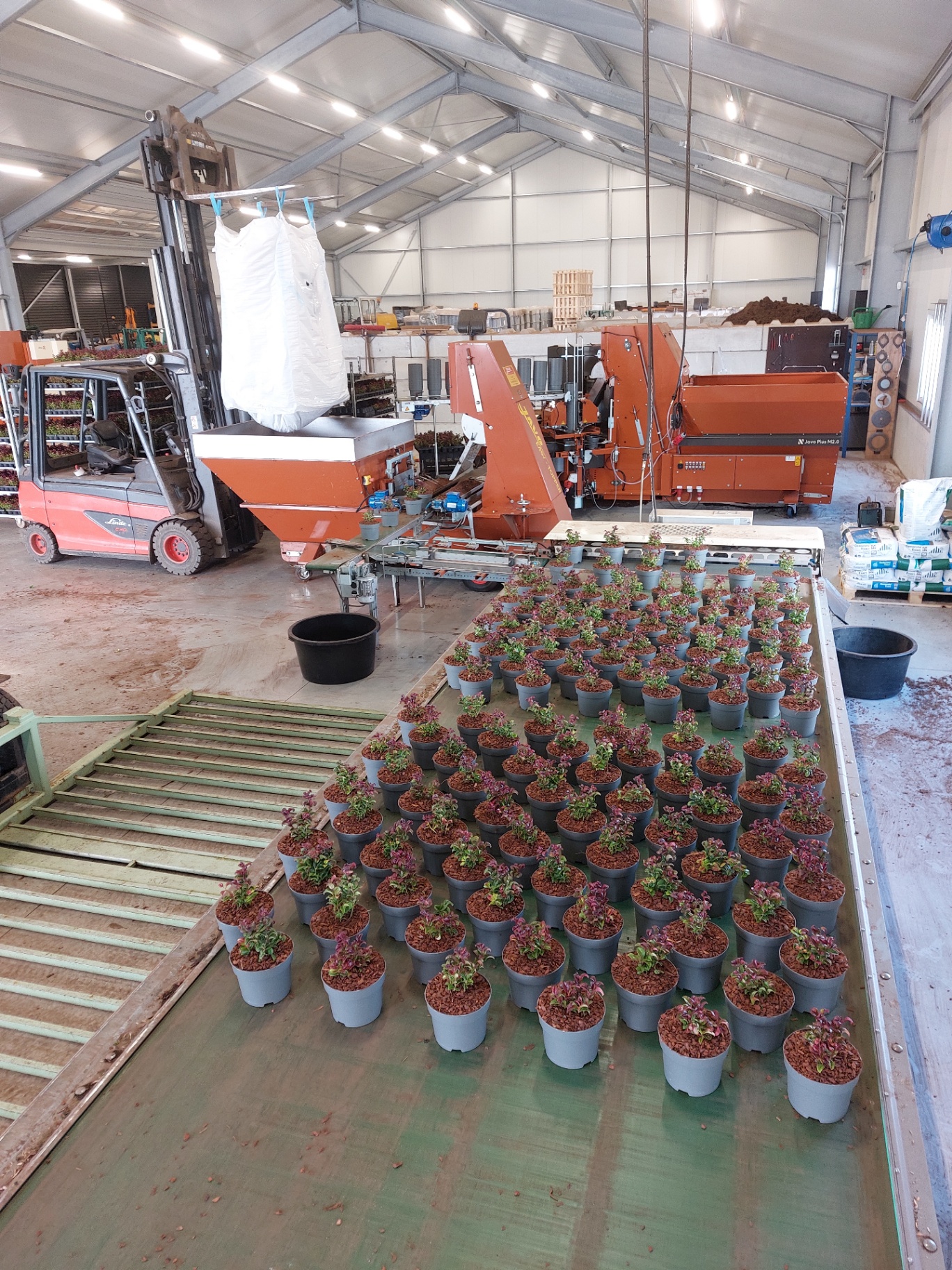 Bufferbanden - foto 3