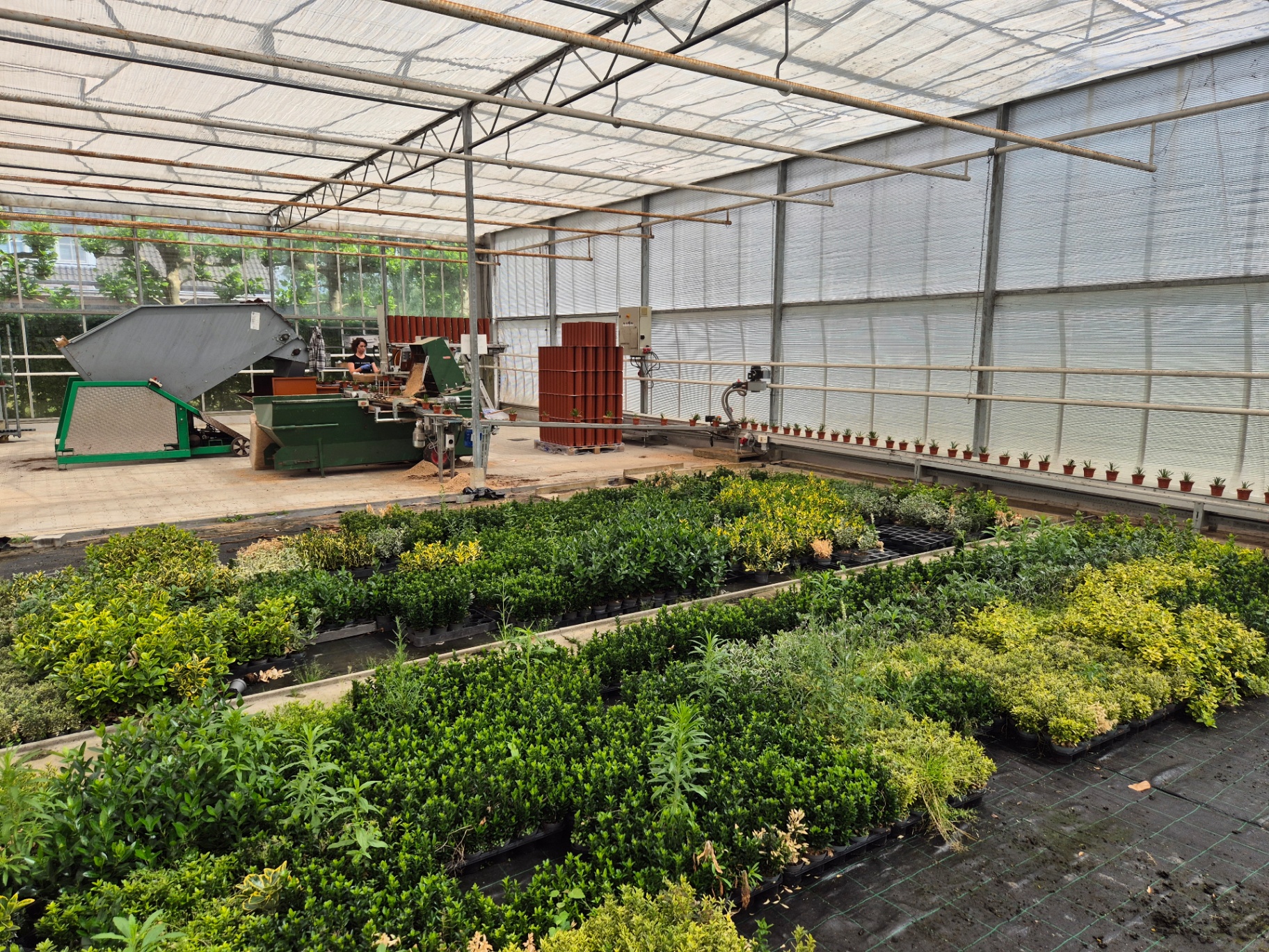 Javo Standaard & 150m gevelband