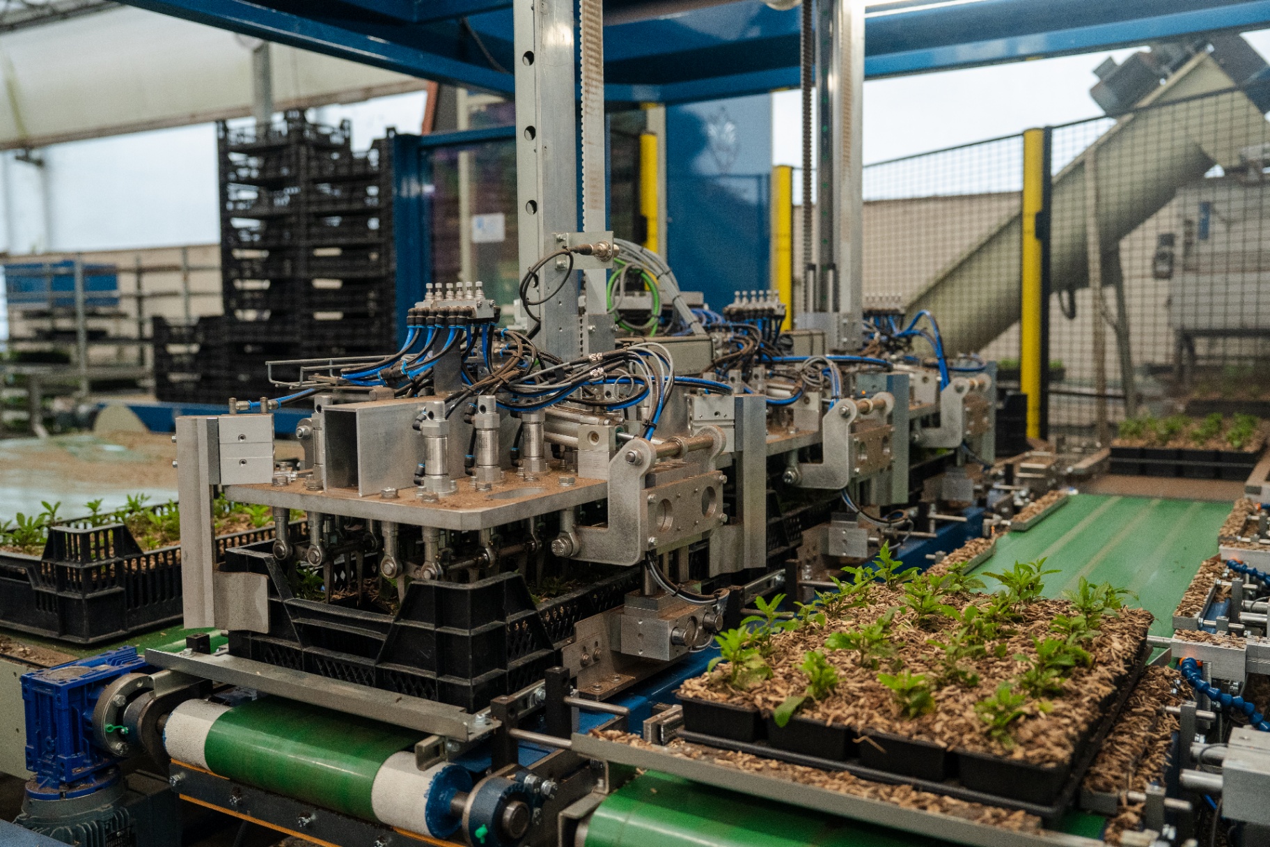 Pick & place robot - foto 5