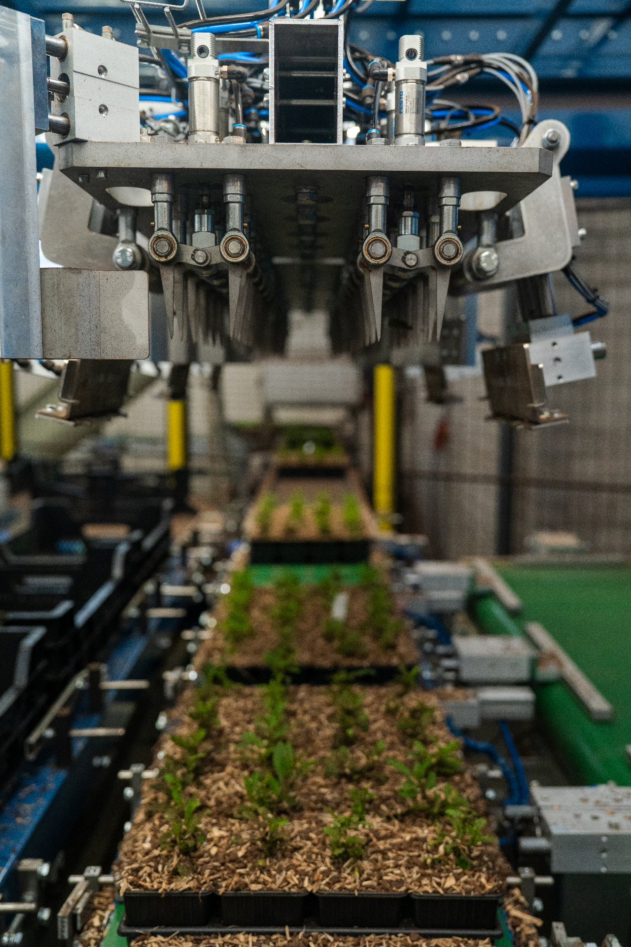 Pick & place robot - foto 6