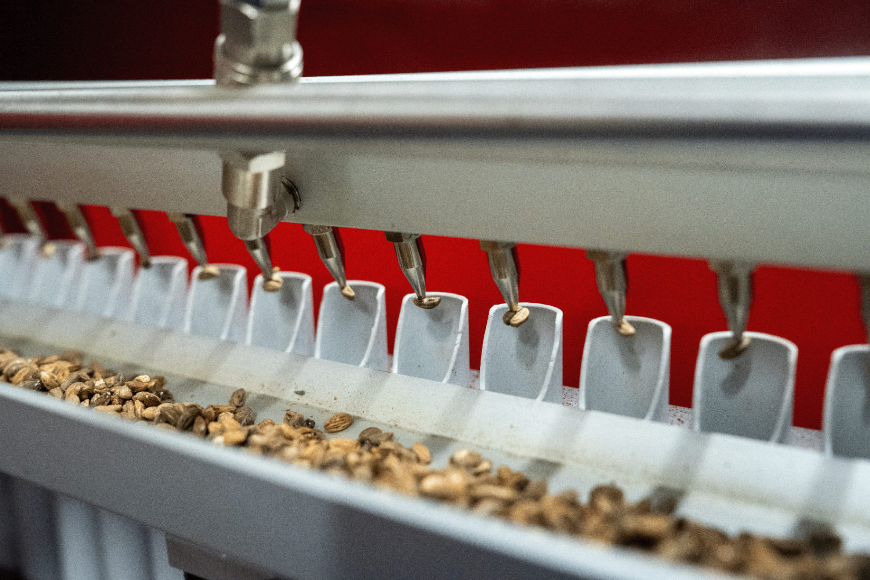 Tray zaailijn - foto 1